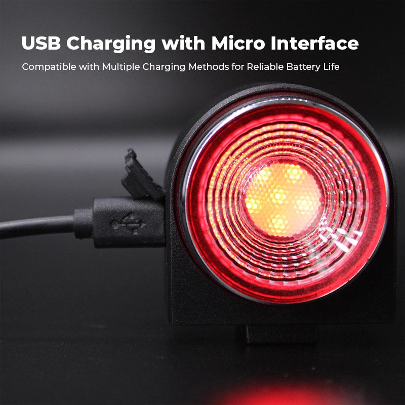 Anti-Theft Alarm Taillight、mySite、gigharbornorthrealestate