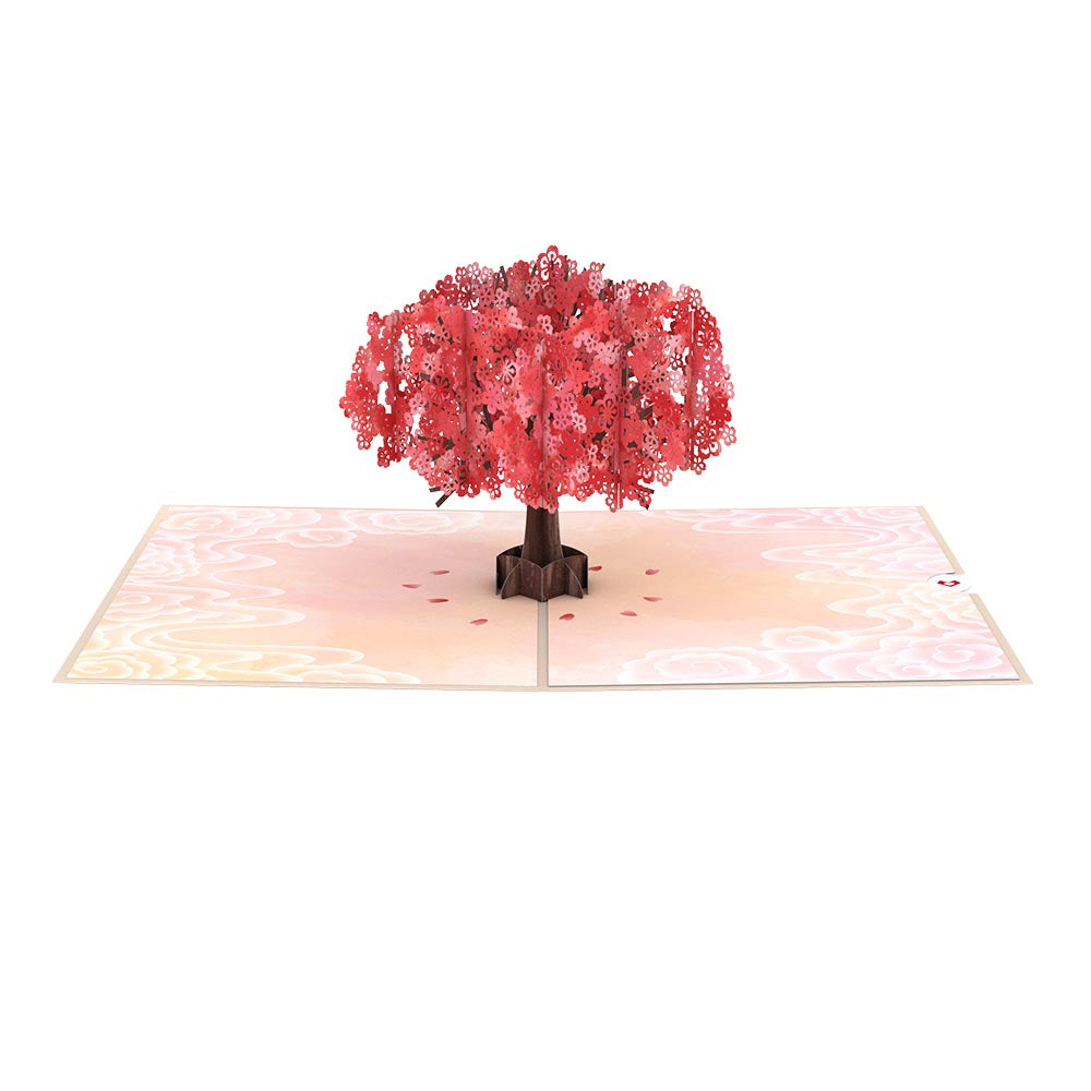 Mother's Day Red Sakura Pop-Up Card、mySite、solidvoid