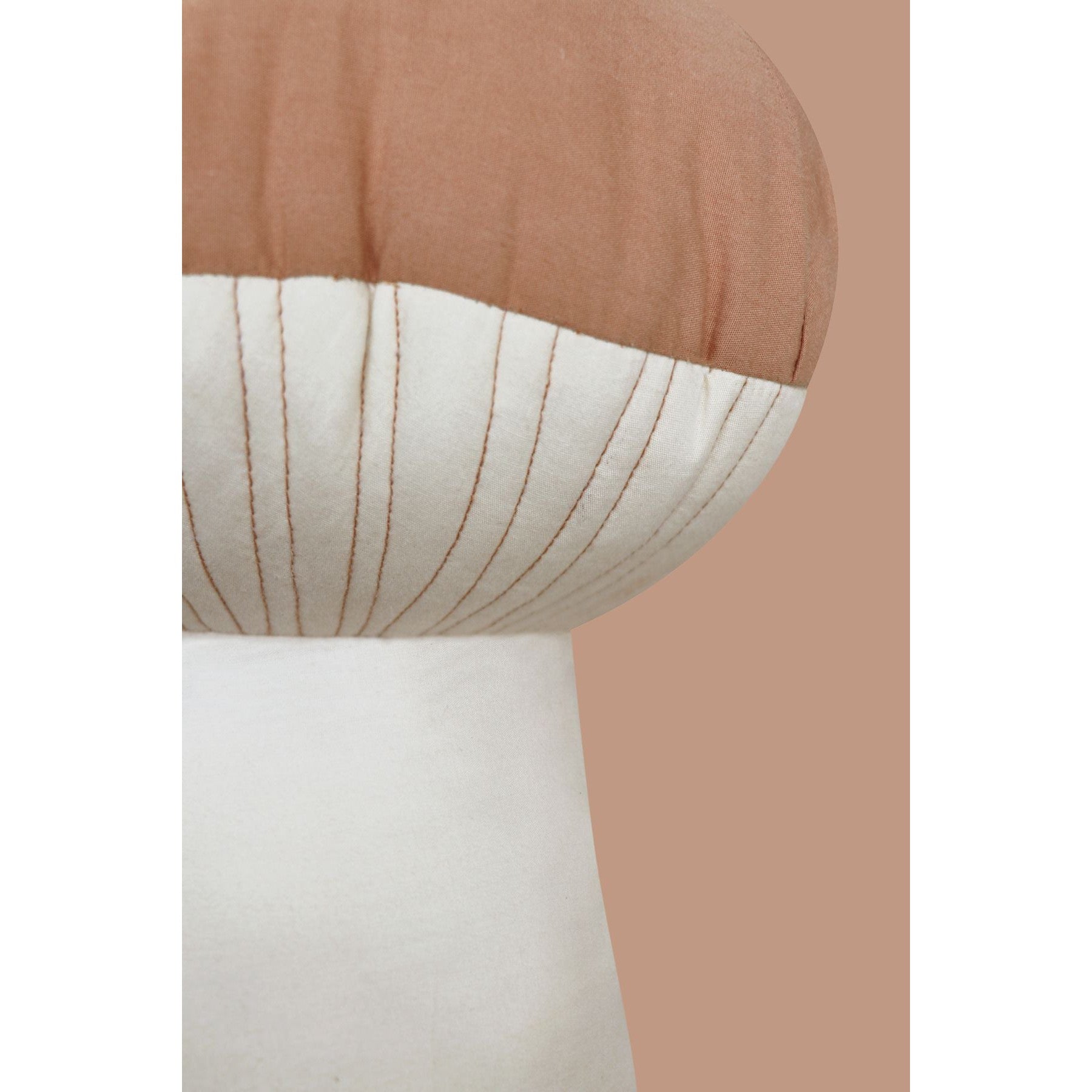 Boletus Cushion、mySite、gigharbornorthrealestate