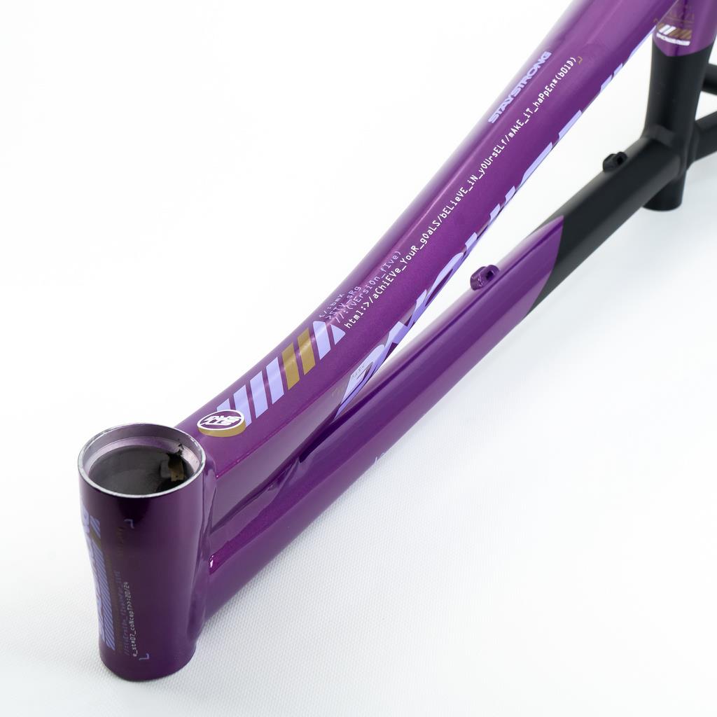  Stay Strong For Life V5 Cruiser Frame 2025、mySite、merchandisen
