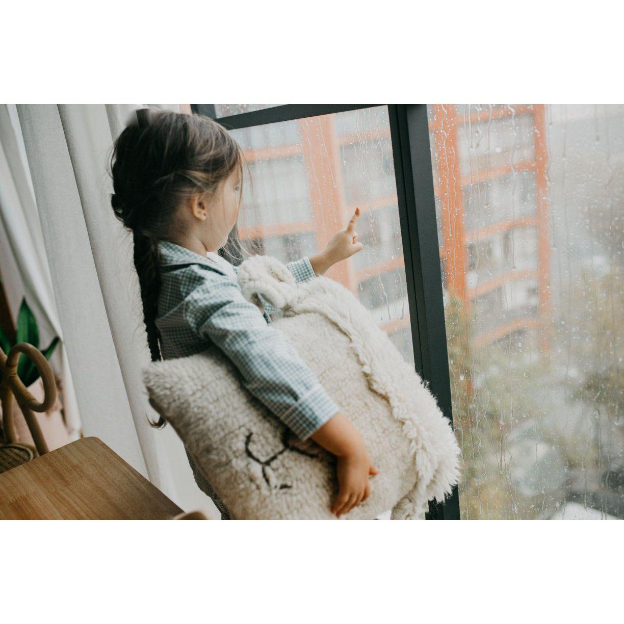 Pink Nose Sheep Woolable Cushion、mySite、gigharbornorthrealestate