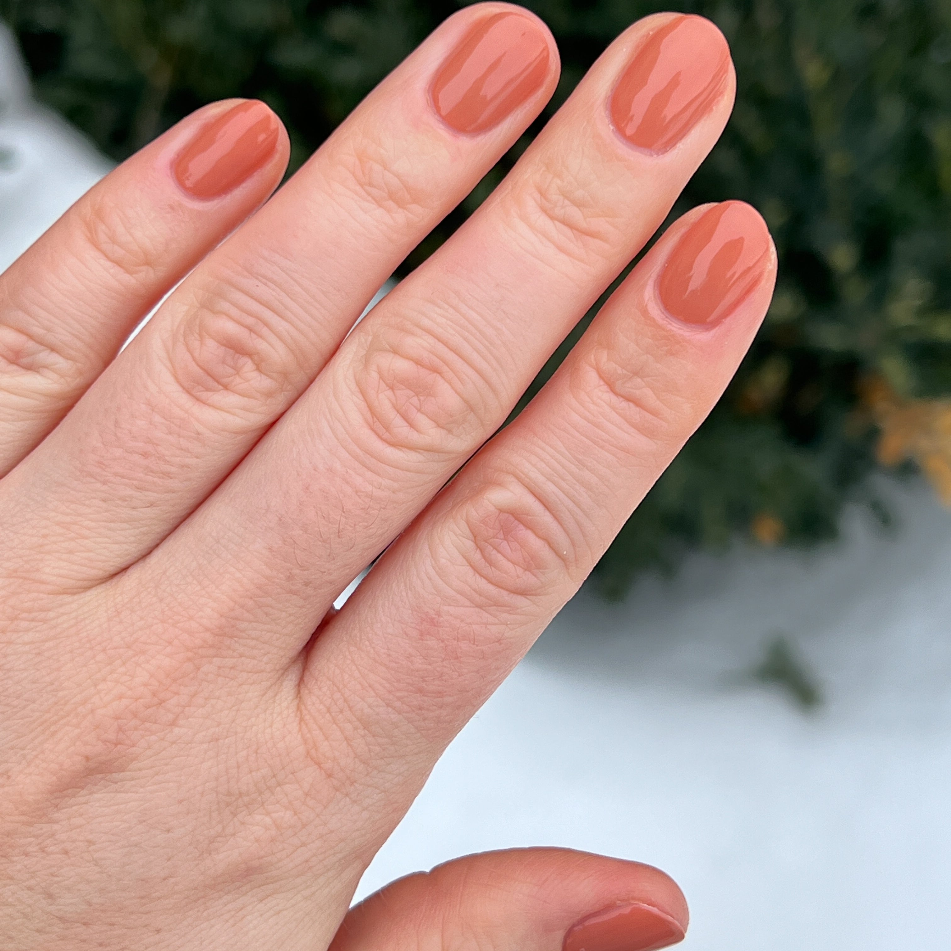 Start Small、mySite、solidvoid