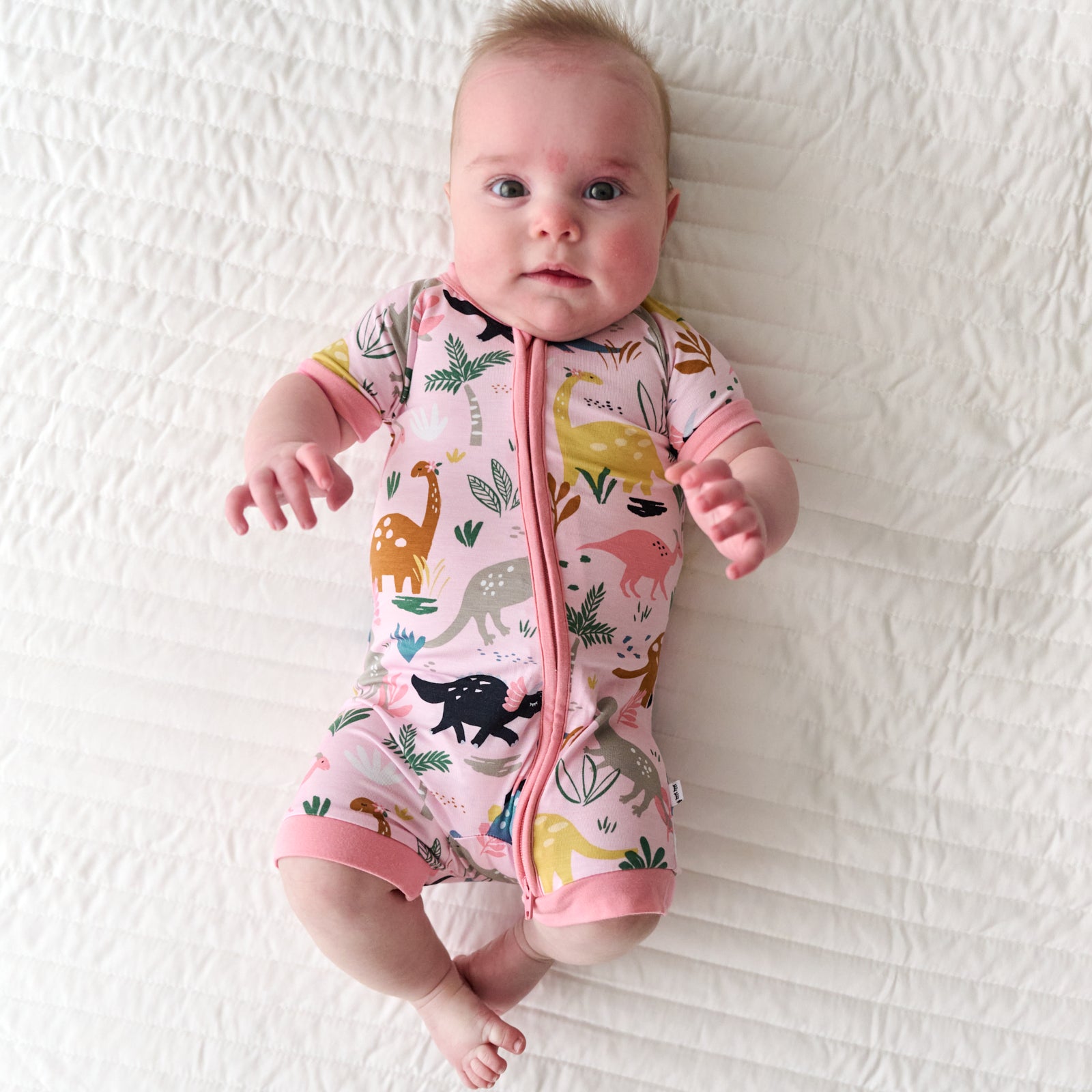  Pink Jurassic Jungle Shorty Zippy、mySite、layawaytickets