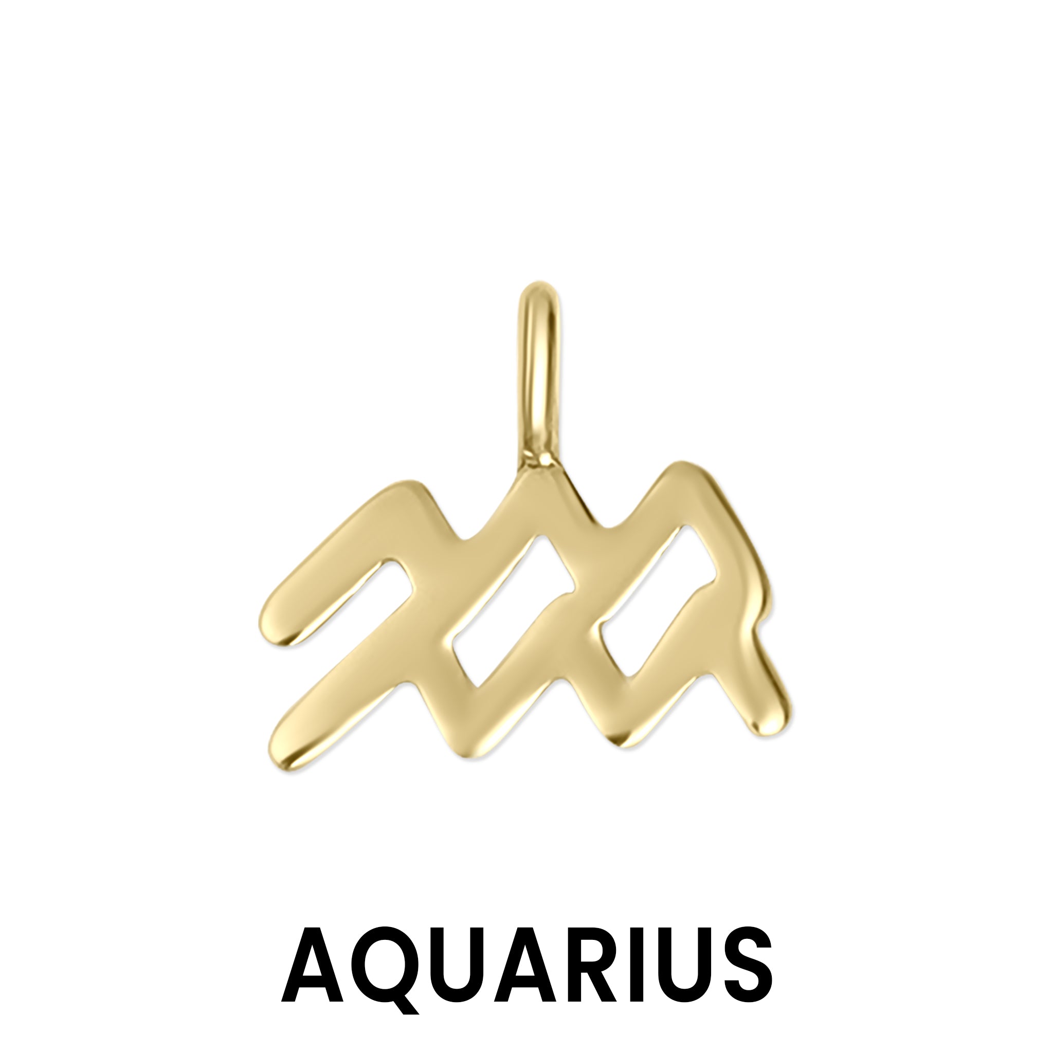Permanent Jewelry 14K Solid Gold Zodiac Charms / PMJ1017、mySite、dreamappss