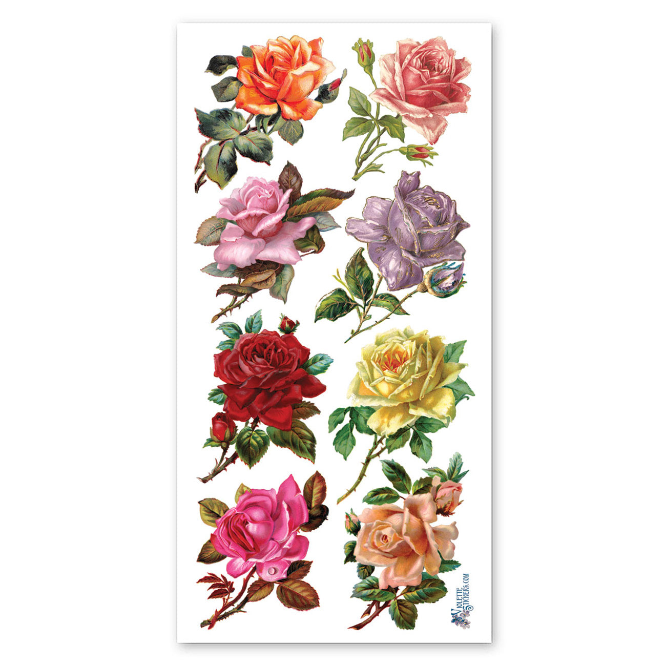  8 Rainbow Roses Stickers、mySite、ghnorth