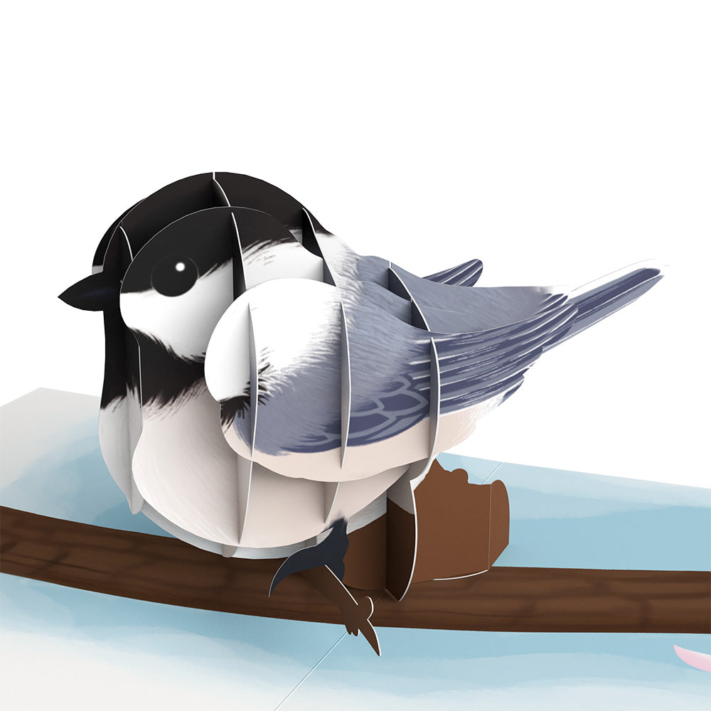 Spring Birds Box Set (Assorted 12-Pack): Paperpop® Card、mySite、solidvoid