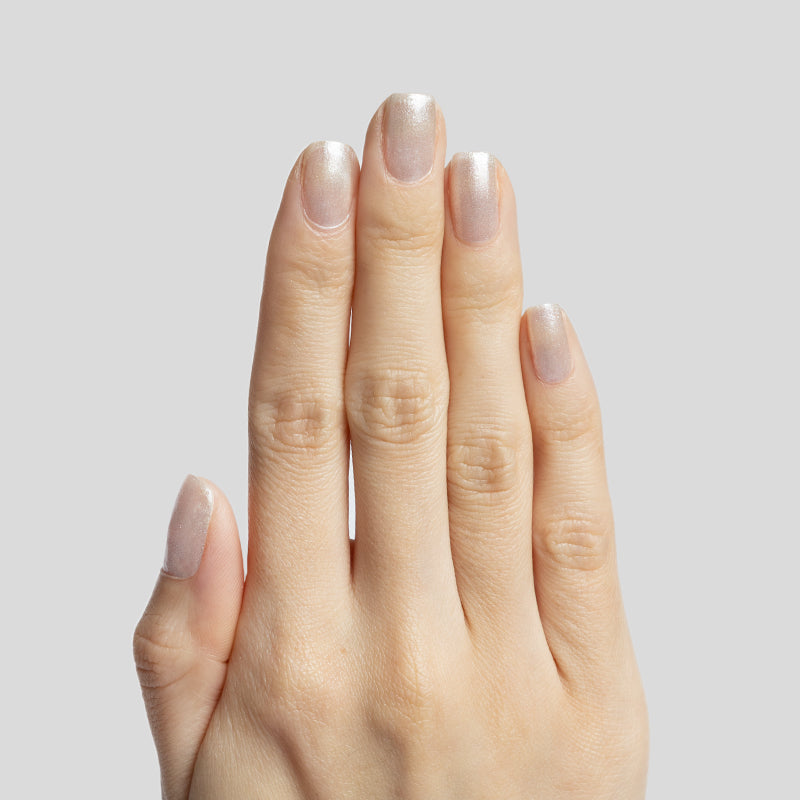 Midnight Disco、mySite、solidvoid