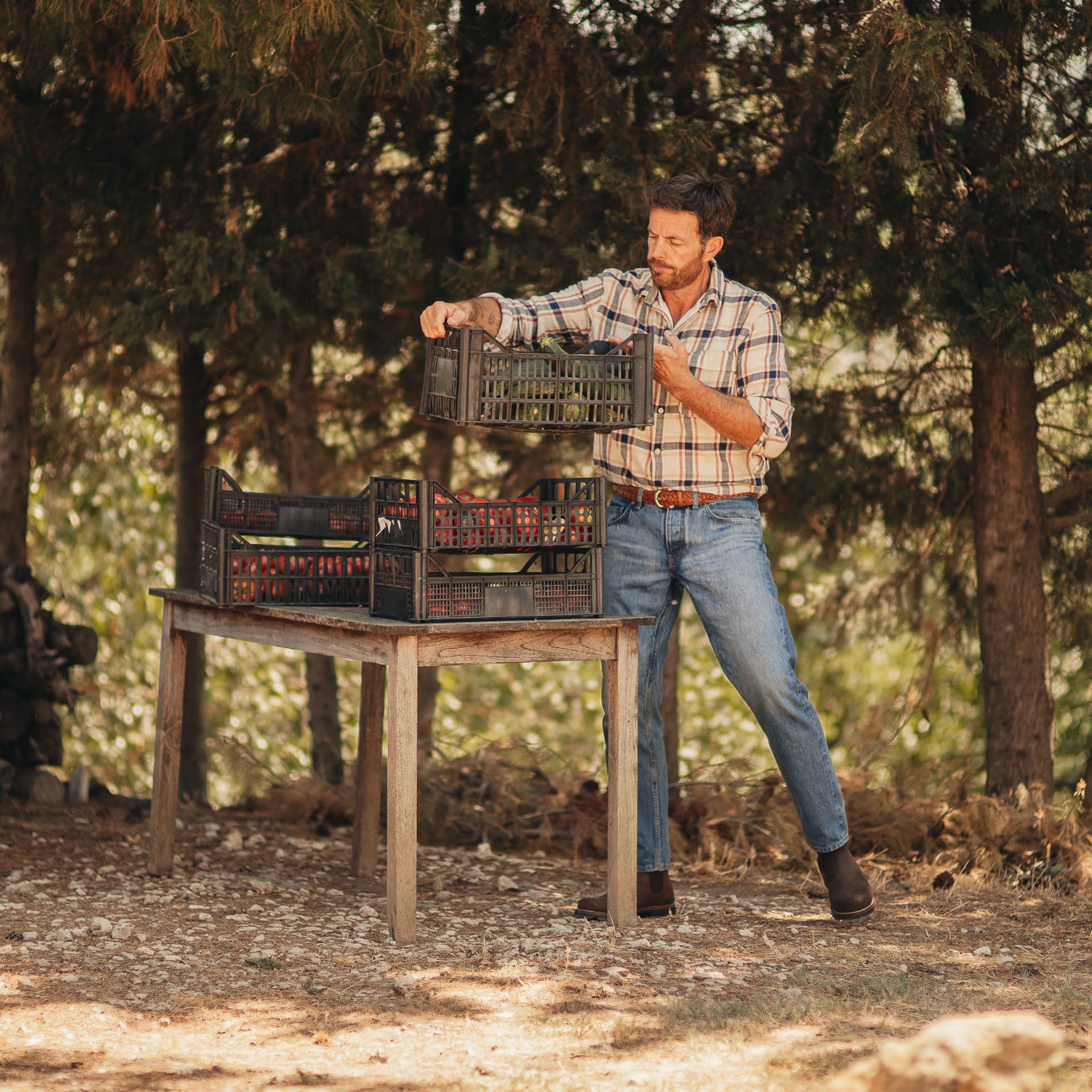  Bagaj、mySite、merchandisen