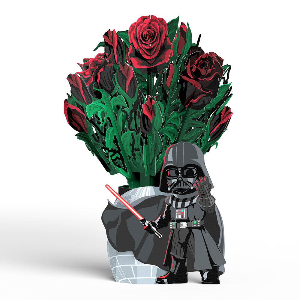 Star Wars™ Darth Vader™ Take My Breath Away Pop-Up Card & Flower Buds Bouquet Bundle、mySite、solidvoid