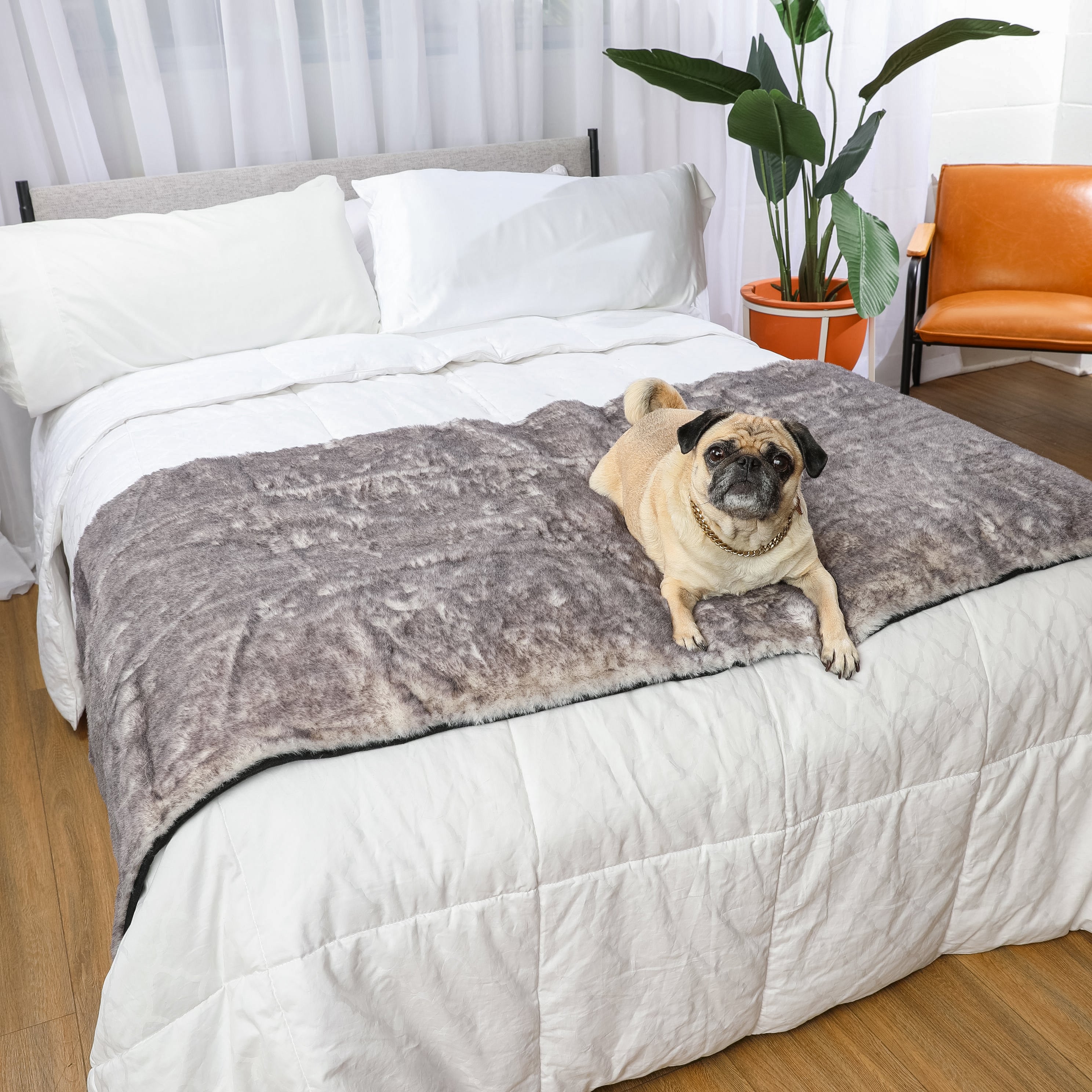 PupProtector™ Luxe Waterproof Bed Runner - Ultra Soft Chinchilla、mySite、solidvoid