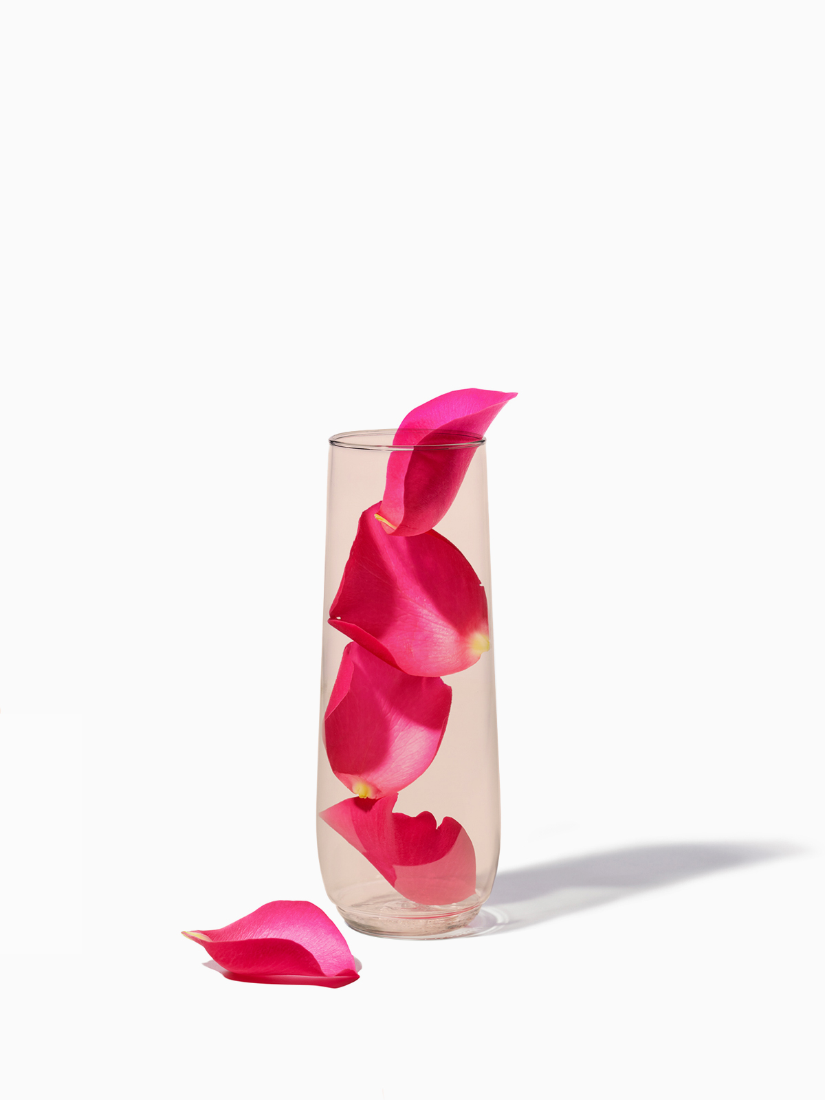 POP 9oz Flute Coral Pink - Bulk、mySite、camillekostekn