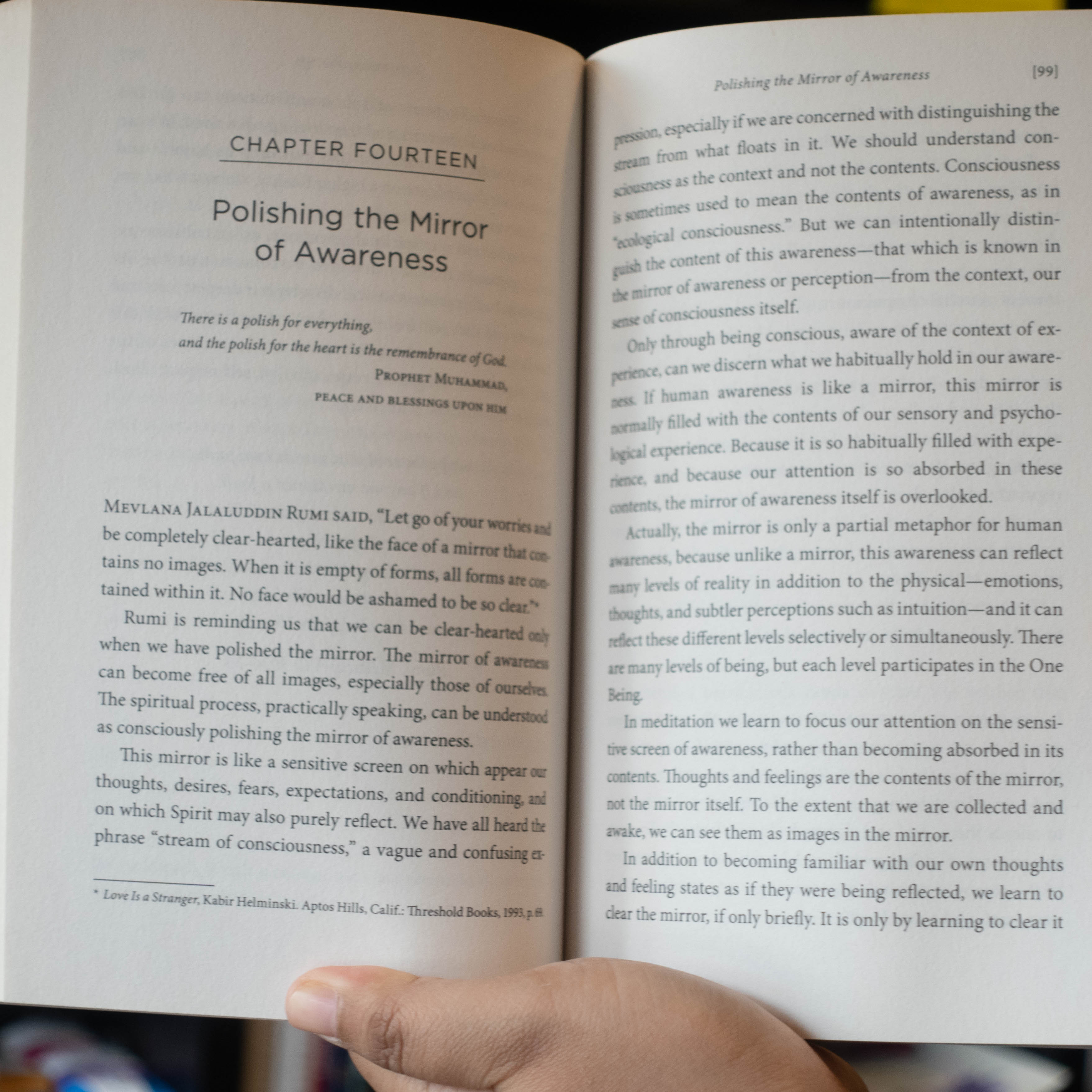 Living Presence: The Sufi Path to Mindfulness and the Essential Self、mySite、topwebapps