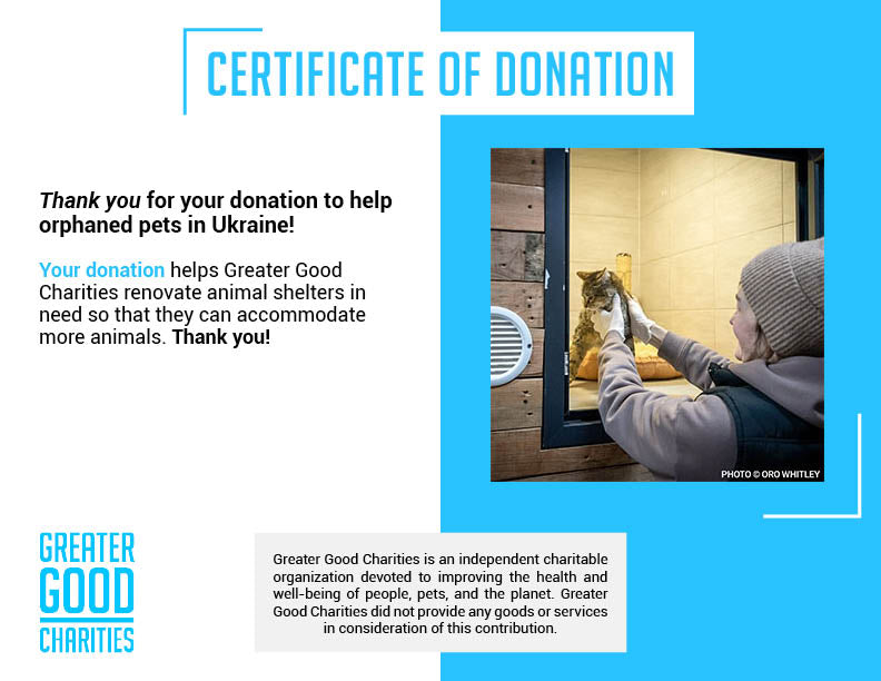 Traumatized Pets Abandoned in Ukraine Need a Safe Haven、mySite、camillekostekn