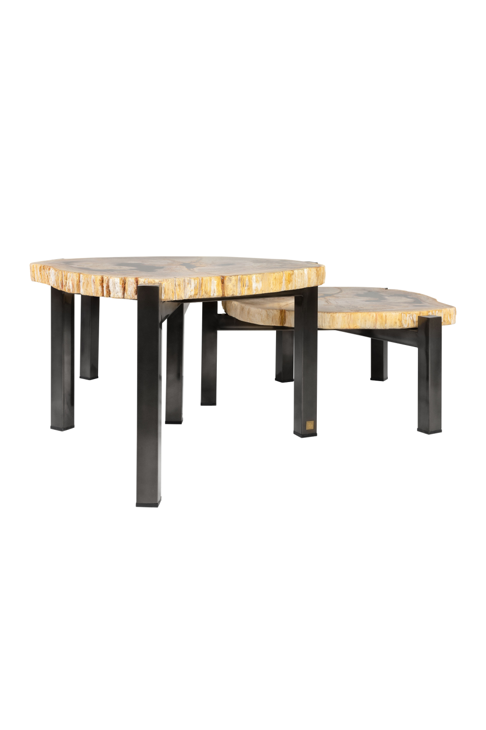 Petrified Wood Nested Coffee Tables (3) | Versmissen、mySite、neckold