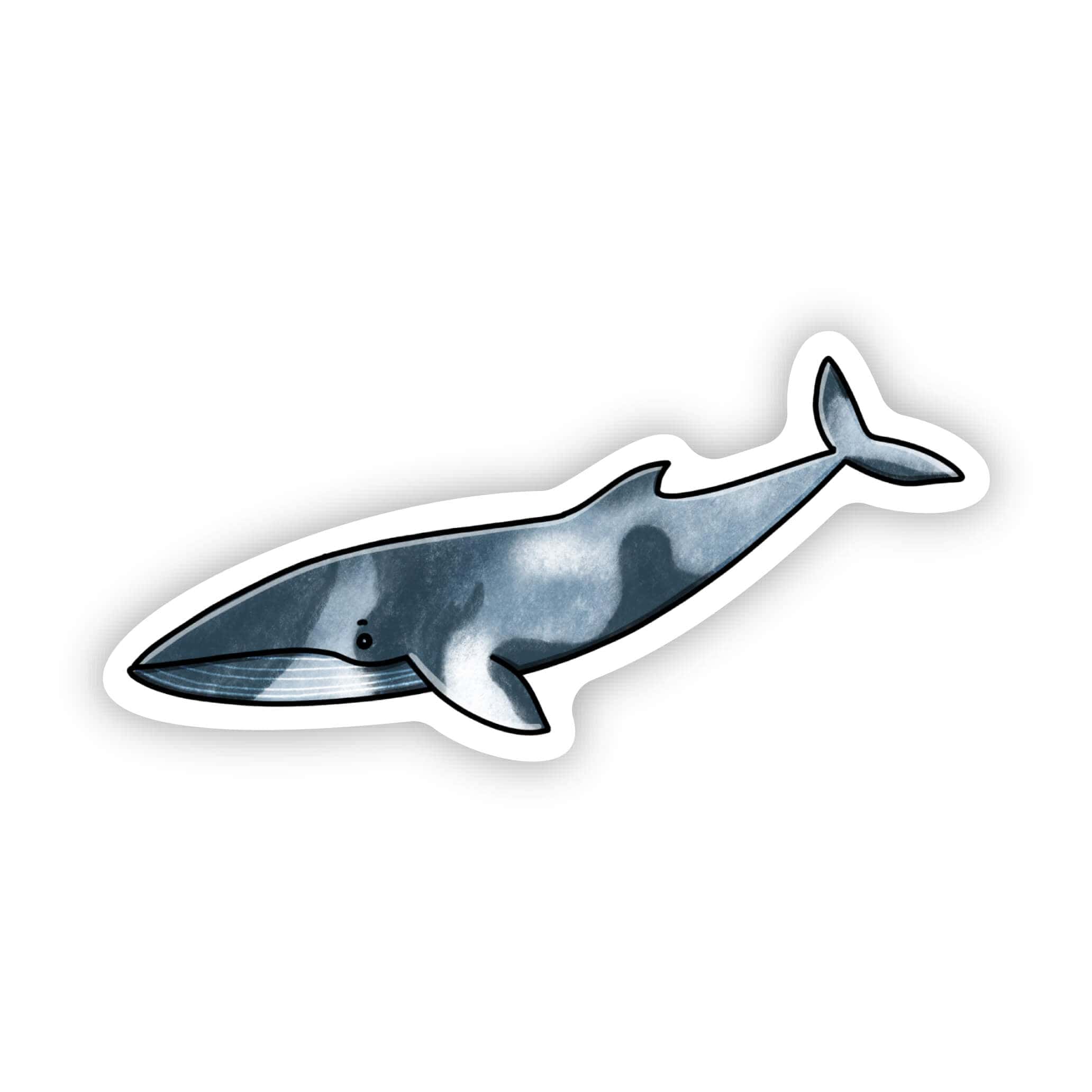  Whale Sticker、mySite、ghnorth