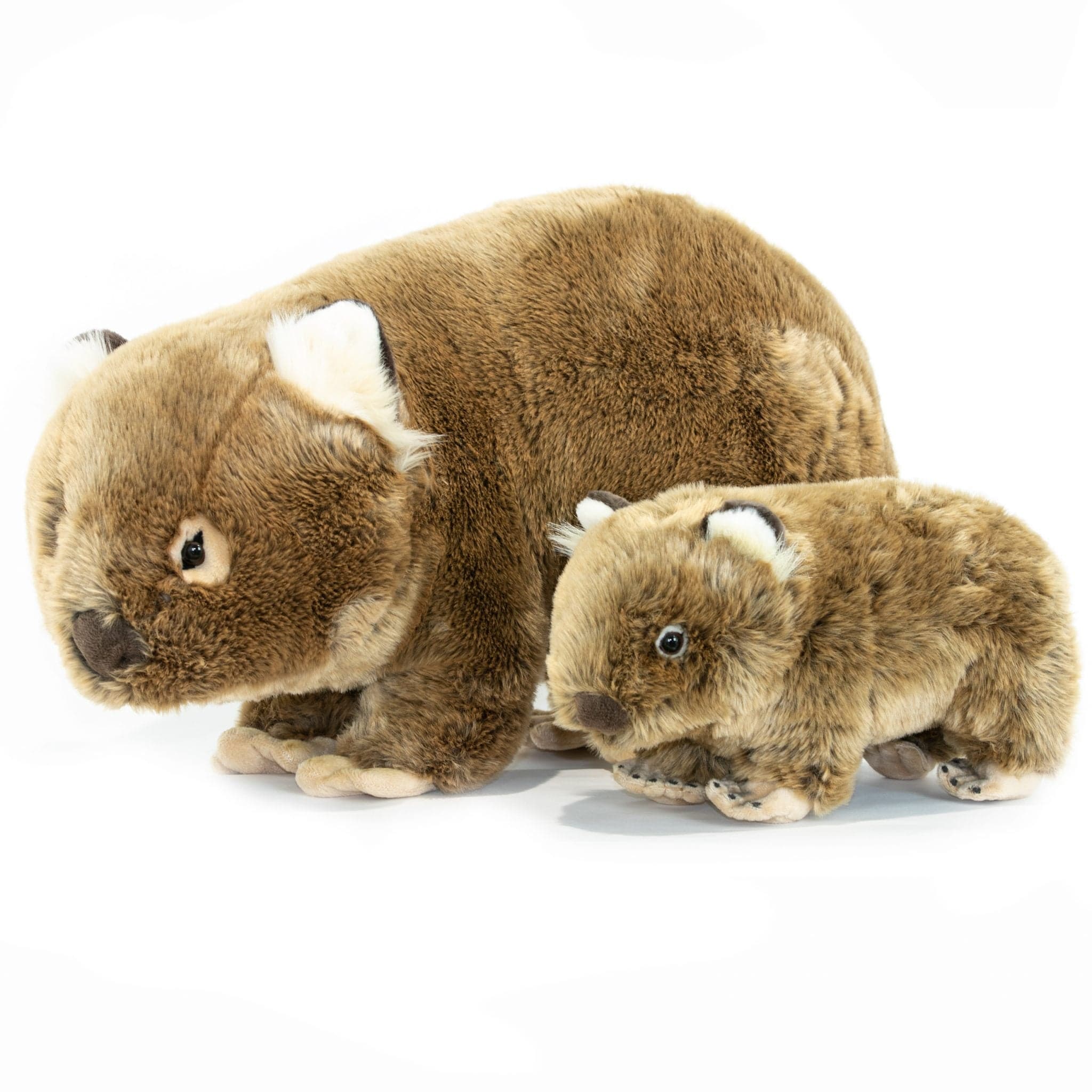 Large Plush Lifelike Wombat Size 55cm/21.6″、mySite、g9winljtr