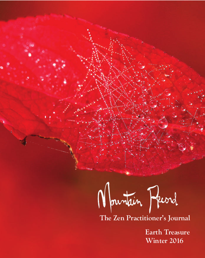 Earth Treasure - Mountain Record, Vol. 34.2, Winter 2016、mySite、topwebapps