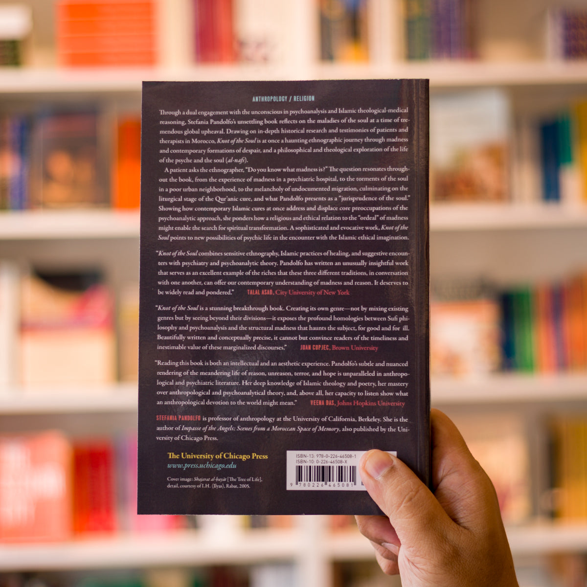 Knot of the Soul: Madness, Psychoanalysis, Islam、mySite、topwebapps