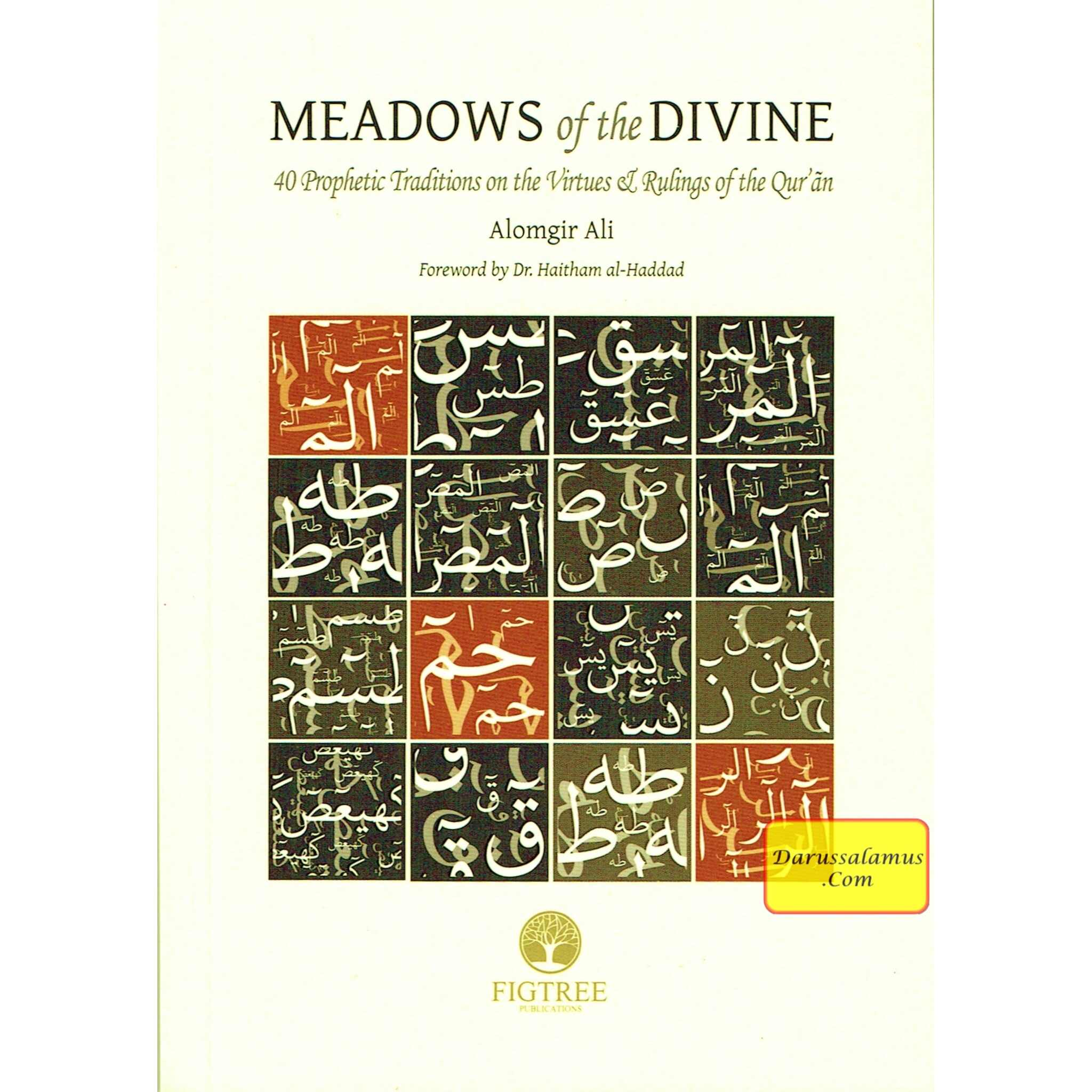 Meadows of the Divine: 40 Prophetic Traditions on the Virtues & Ruling of the Qur'an By Alomgir Ali、mySite、topwebapps