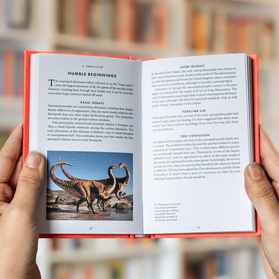 The Little Book of Dinosaurs、mySite、topwebapps
