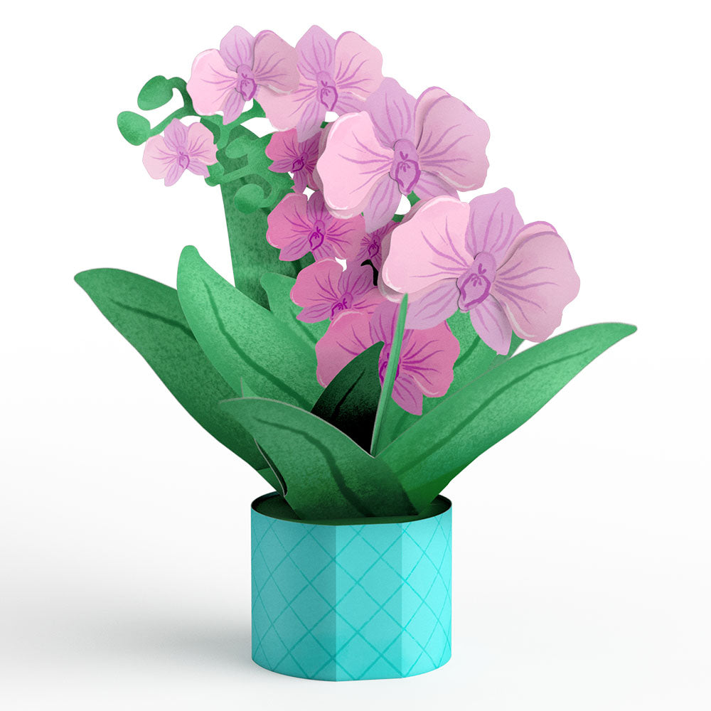 Proud to Be Y’Orchid Mother’s Day Card with Mini Bouquet、mySite、solidvoid