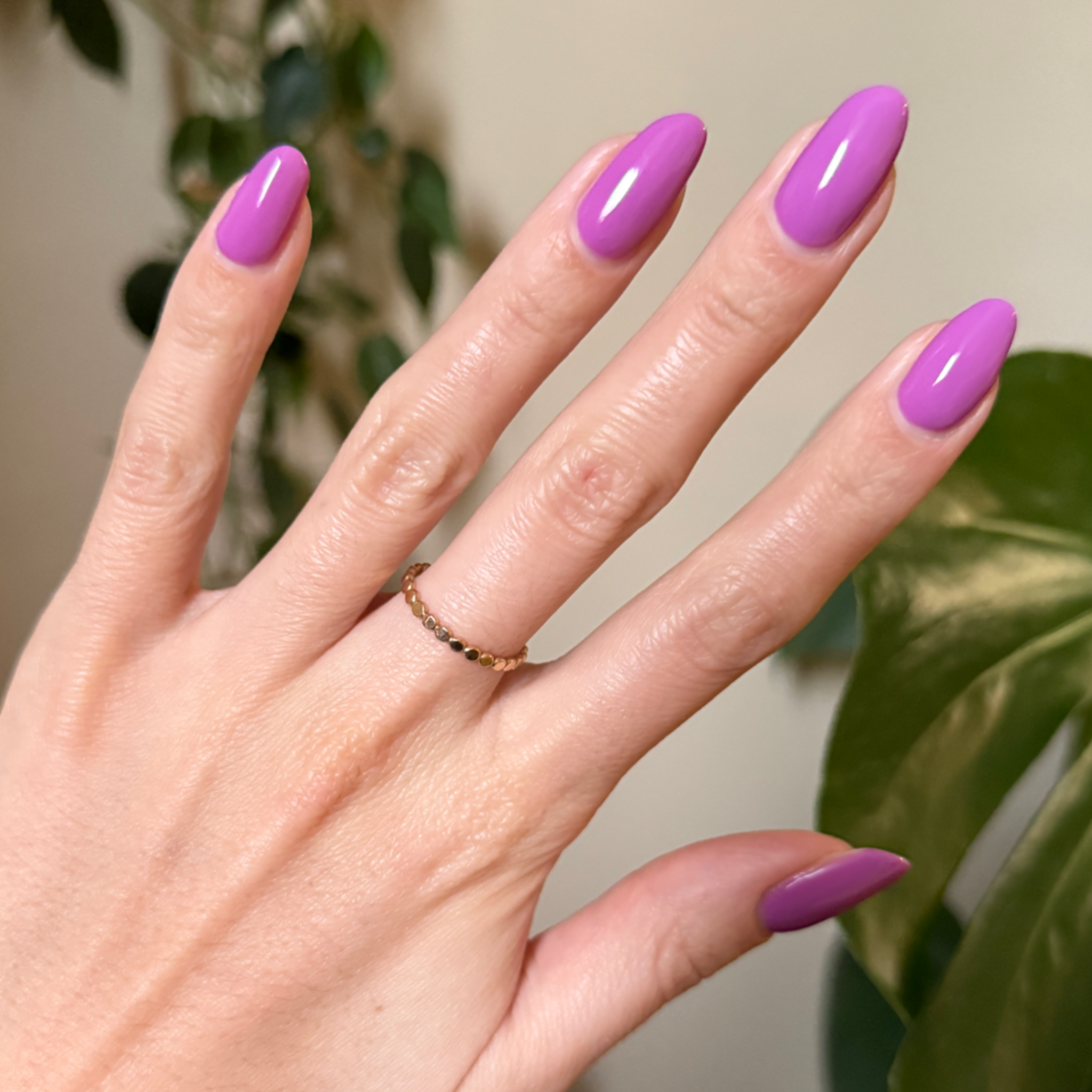 Petal、mySite、solidvoid