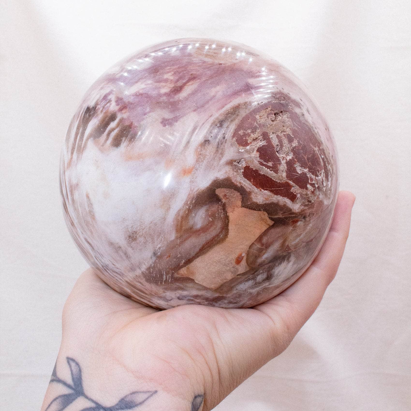 Petrified Wood Sphere - AAA Premium Quality、mySite、hinf8tx79