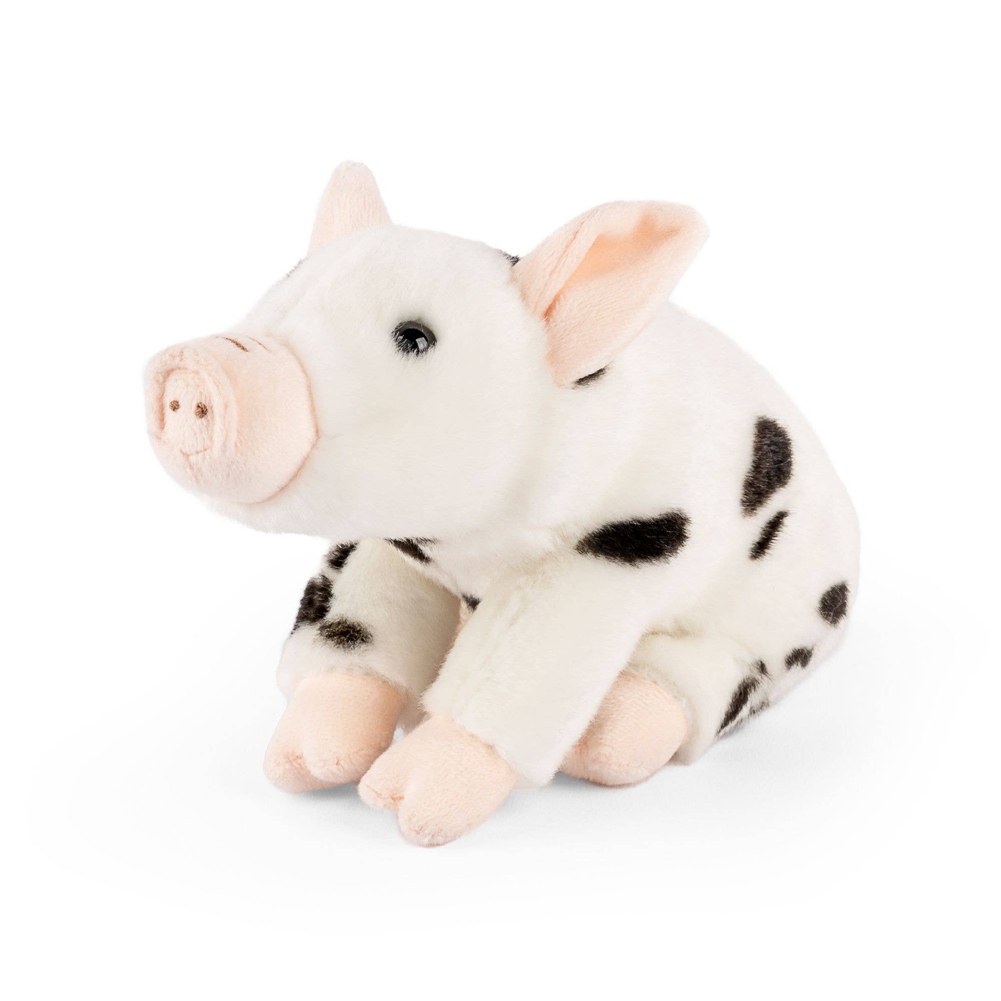 Juliana Spotted Piglet Plush Stuffed Animal Toy Small Eco Friendly、mySite、g9winljtr