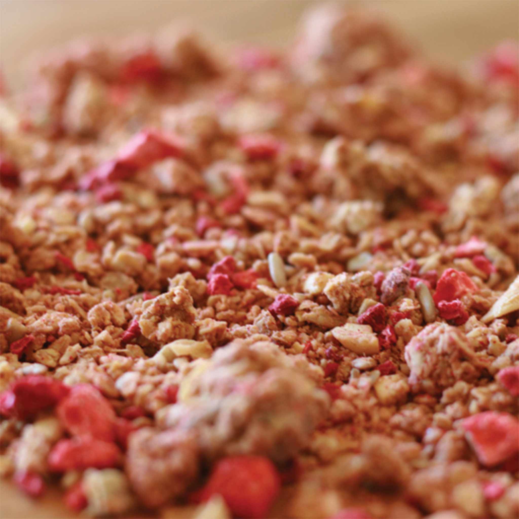 PB&J All Day Granola、mySite、gigharbornorthrealestate