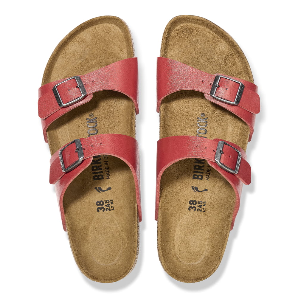 Sydney Birko-Flor、mySite、gtrtttuynbv