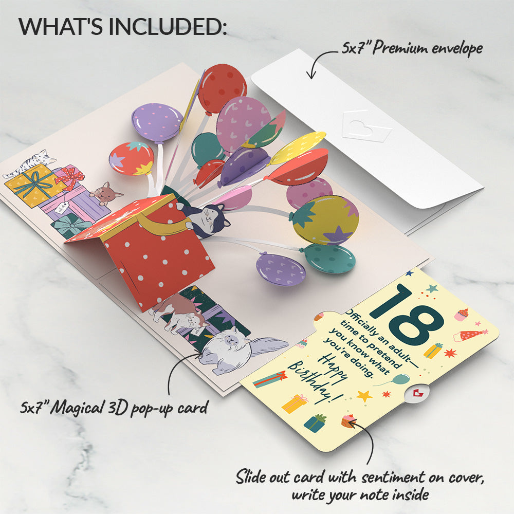 Curious Cats 18th Birthday Pop-Up Card and Sentiment Set、mySite、solidvoid