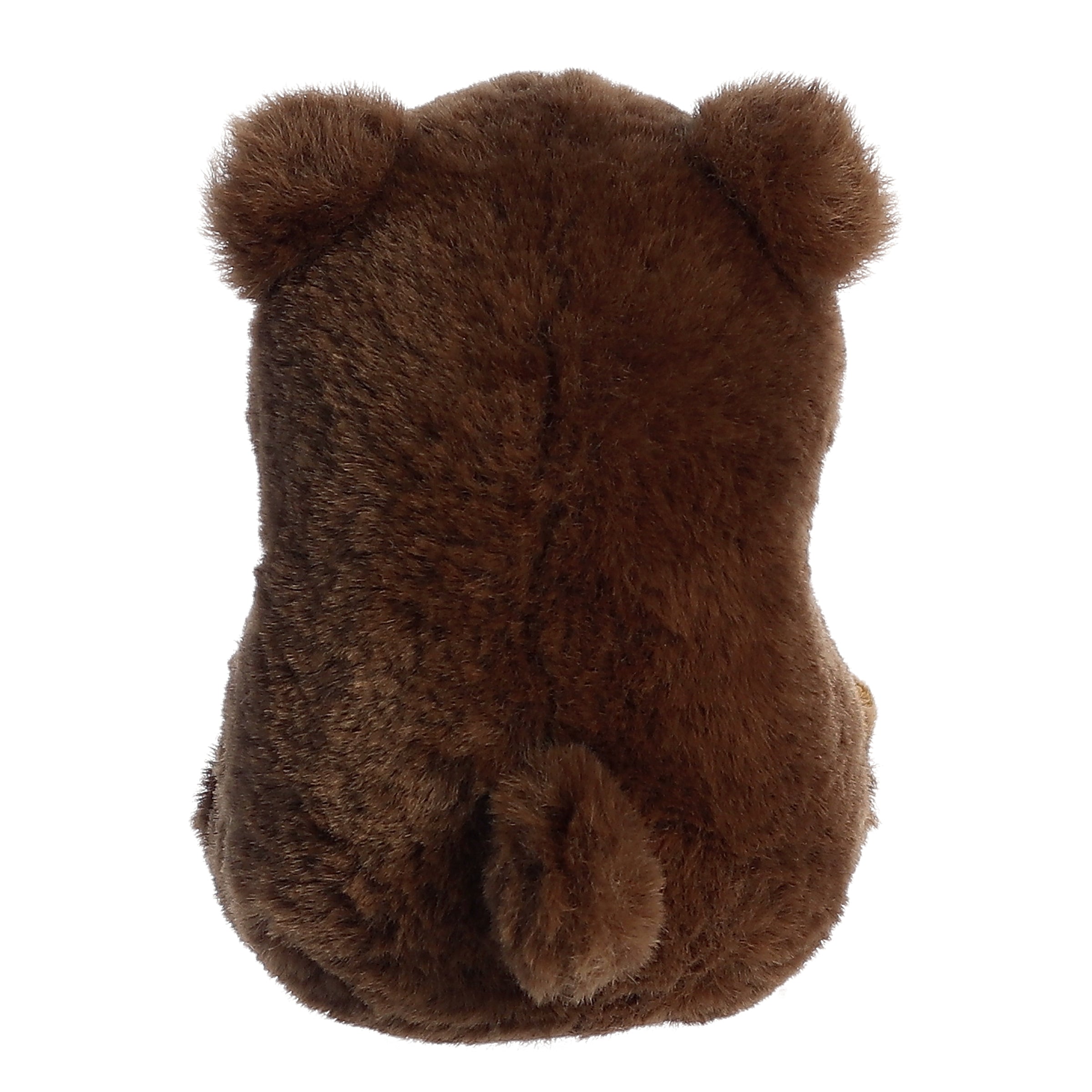 Aurora® - Rolly Pet™ - 5 Brambles Brown Bear™、mySite、g9winljtr