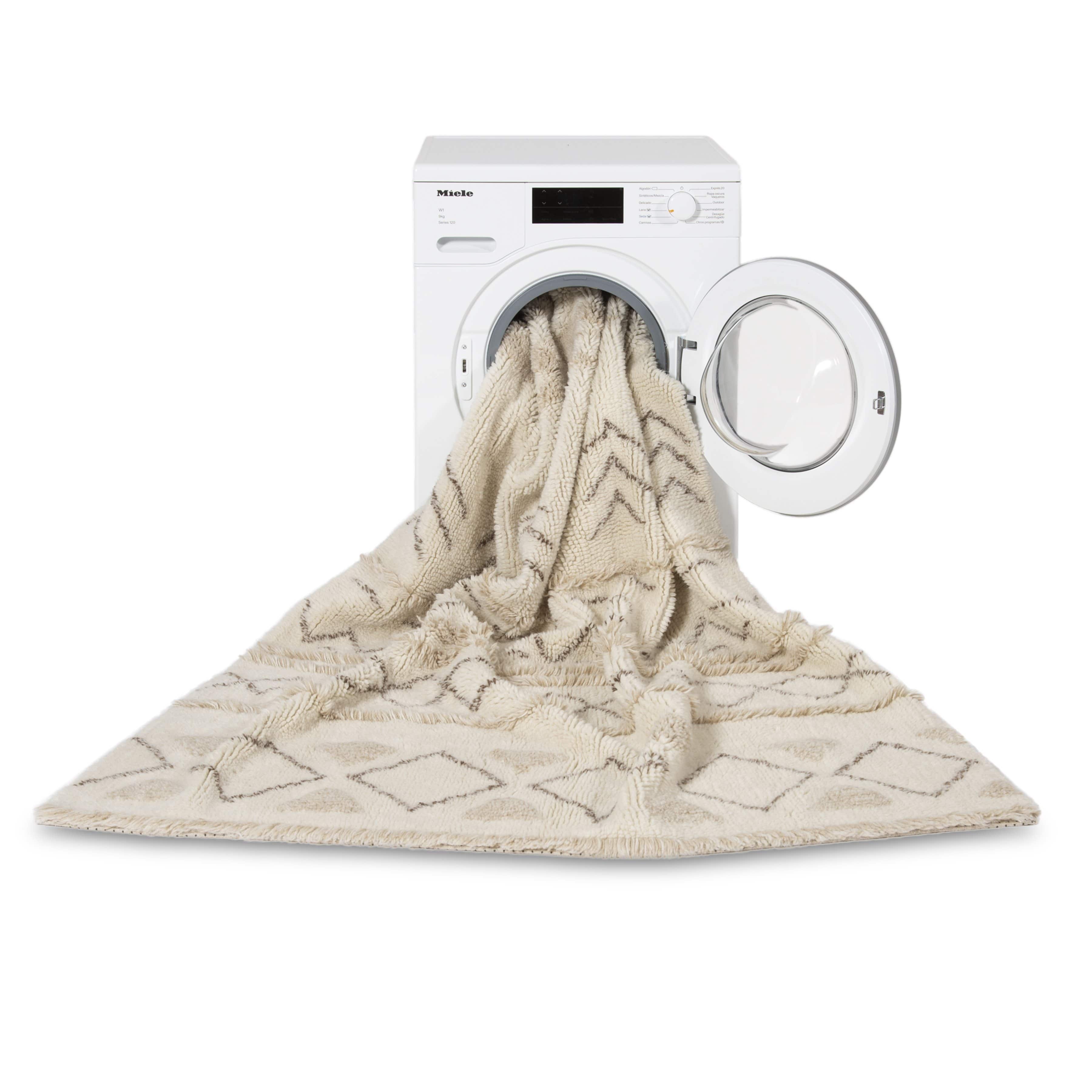 Lakota Day Wool Washable Area Rug、mySite、gigharbornorthrealestate