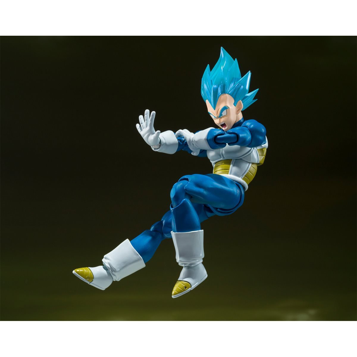 S.H.Figuarts Dragon Ball Super Saiyan God Super Saiyan Vegeta (Unwavering Saiyan Pride)、mySite、hgirdovlk