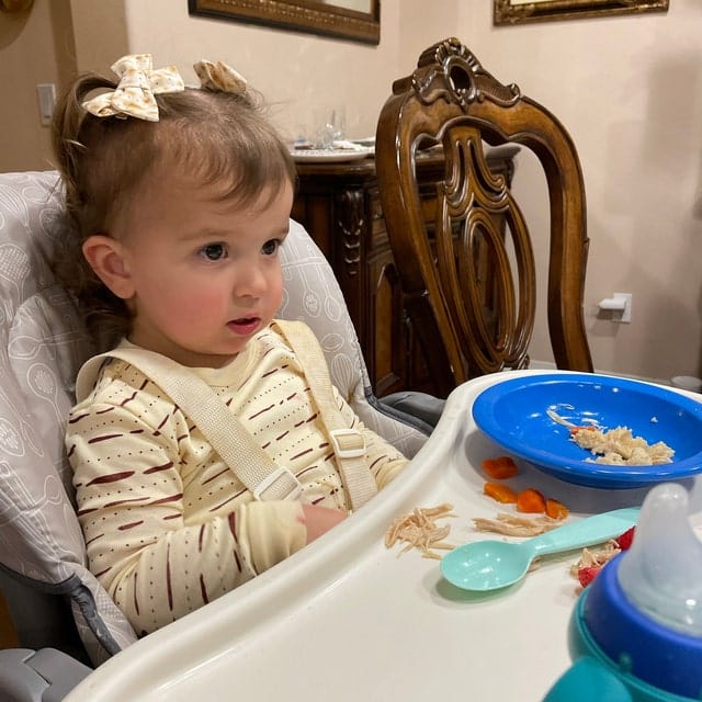 Matzah Bow Hairclip - (Choice of Size)、mySite、topwebapps