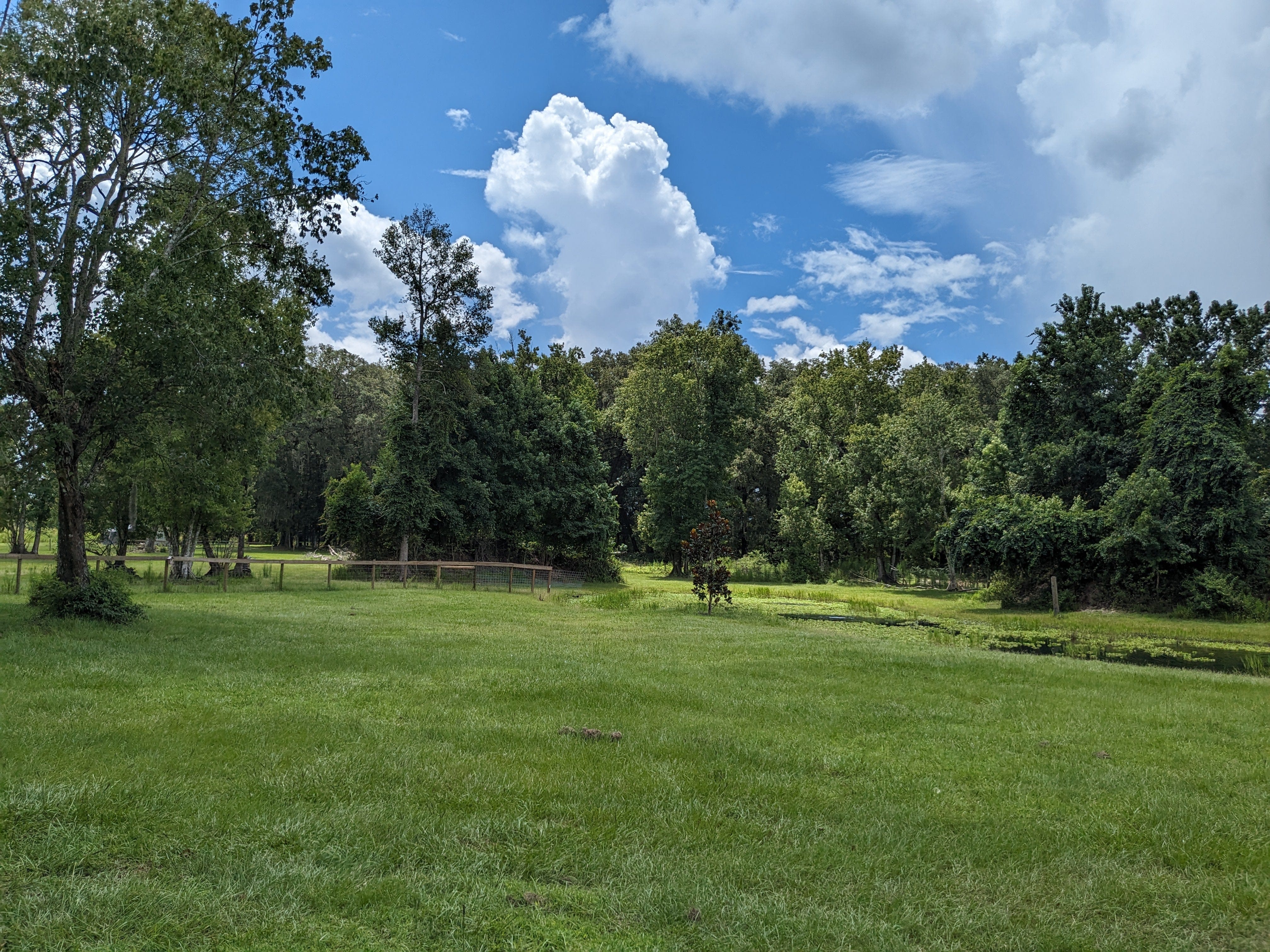 Wedding Ceremony with Rescued Farm Animals & Butterflies!、mySite、g9winljtr