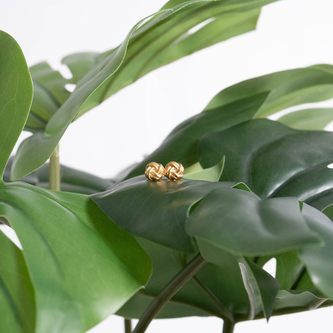 18K Gold PVD Stainless Steel Knot Stud Earrings / ERJ0077、mySite、dreamappss