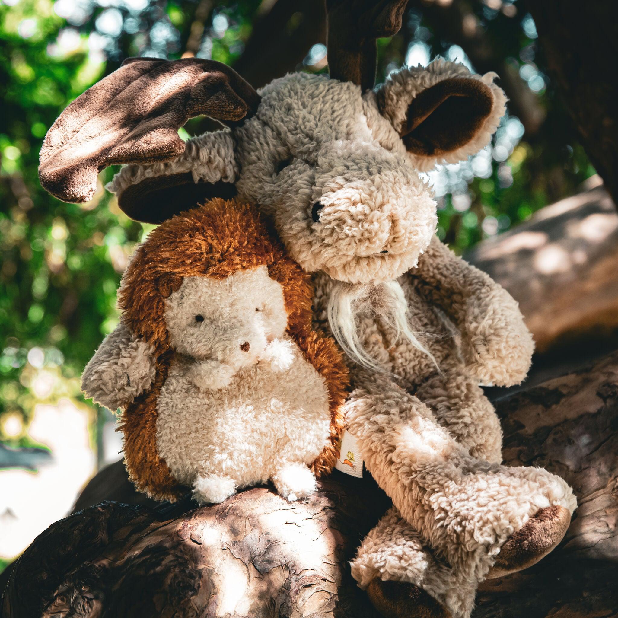 Bruce the Moose、mySite、g9winljtr