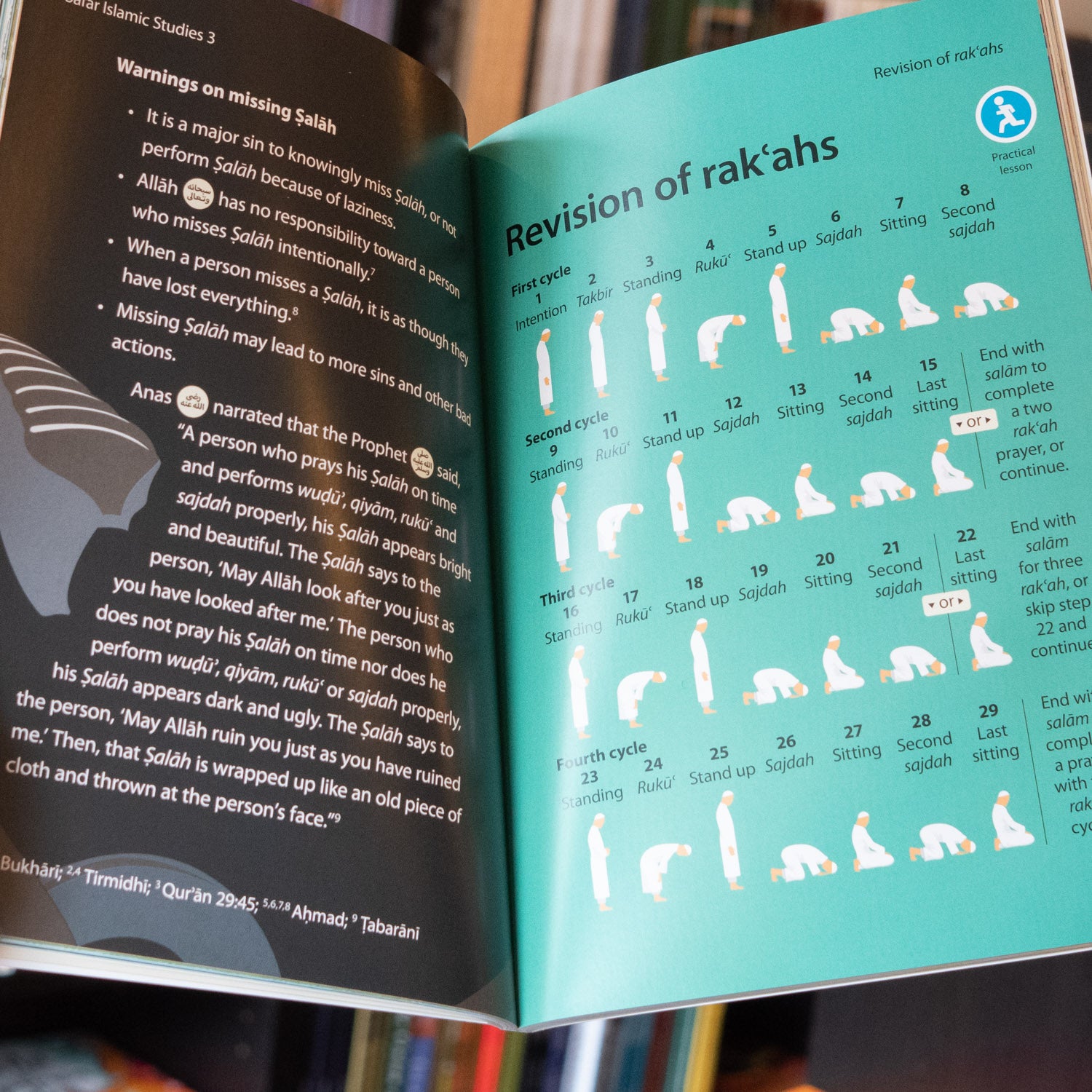 Safar Islamic Studies Textbook 3、mySite、topwebapps