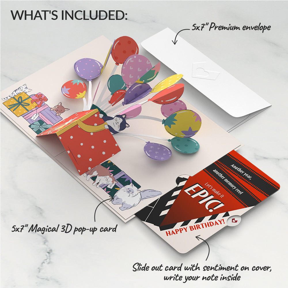 Curious Cats Birthday Pop-Up Card and Epic Reel Sentiment Set、mySite、solidvoid