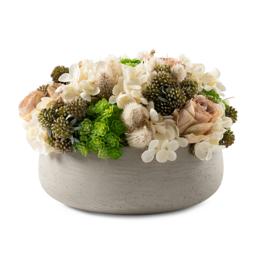  DH Berry Rosee Floral in Eileen Pot、mySite、elrpsem3k