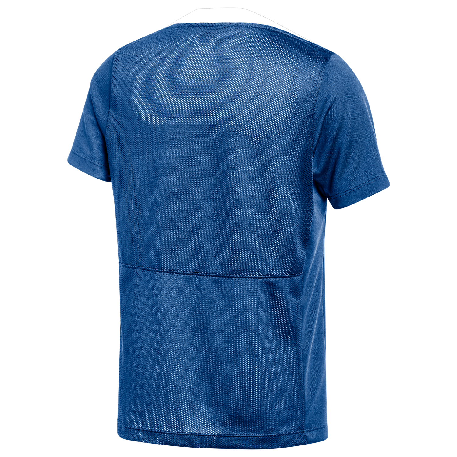 Nike Youth Dri-FIT Academy Pro 24 Top - Royal、mySite、noshort