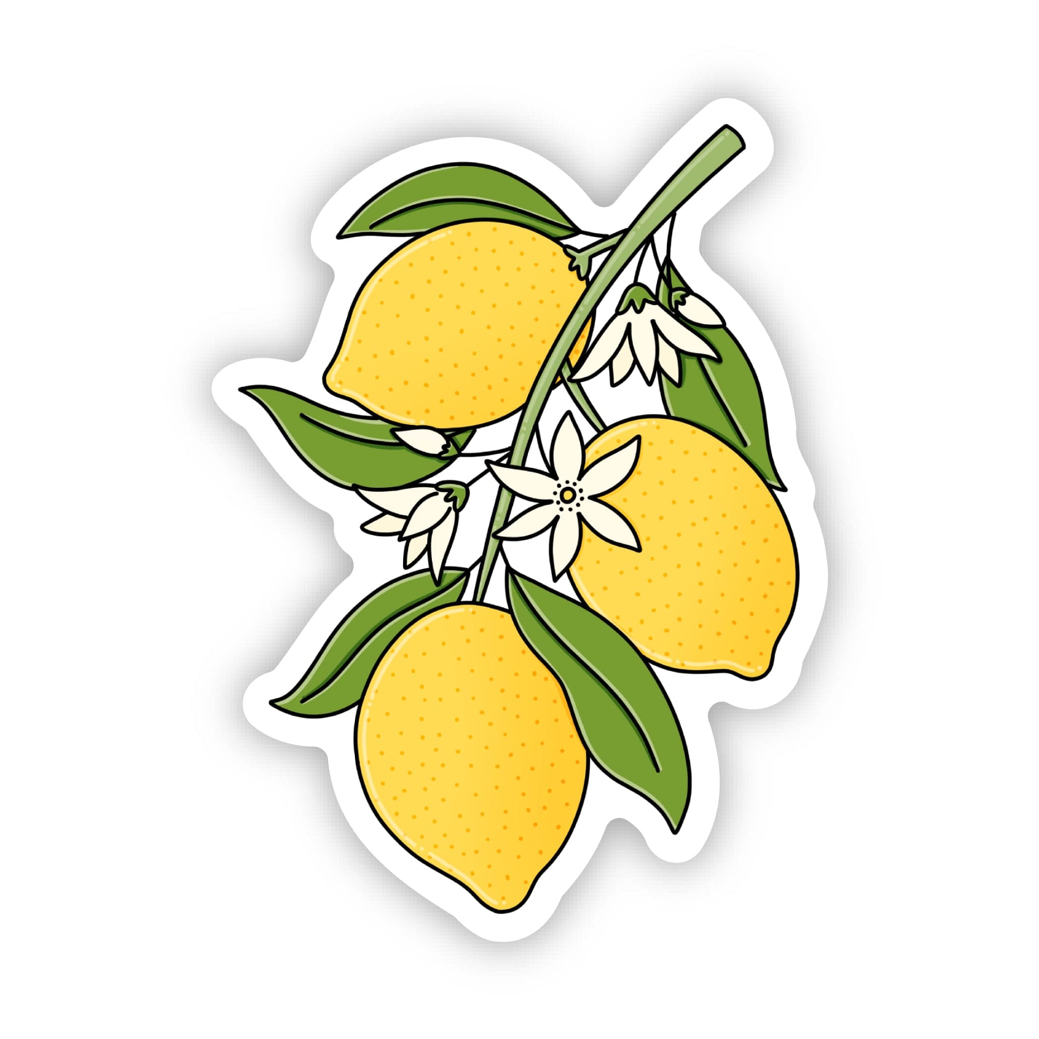  Lemon Branch Sticker、mySite、elrpsem3k