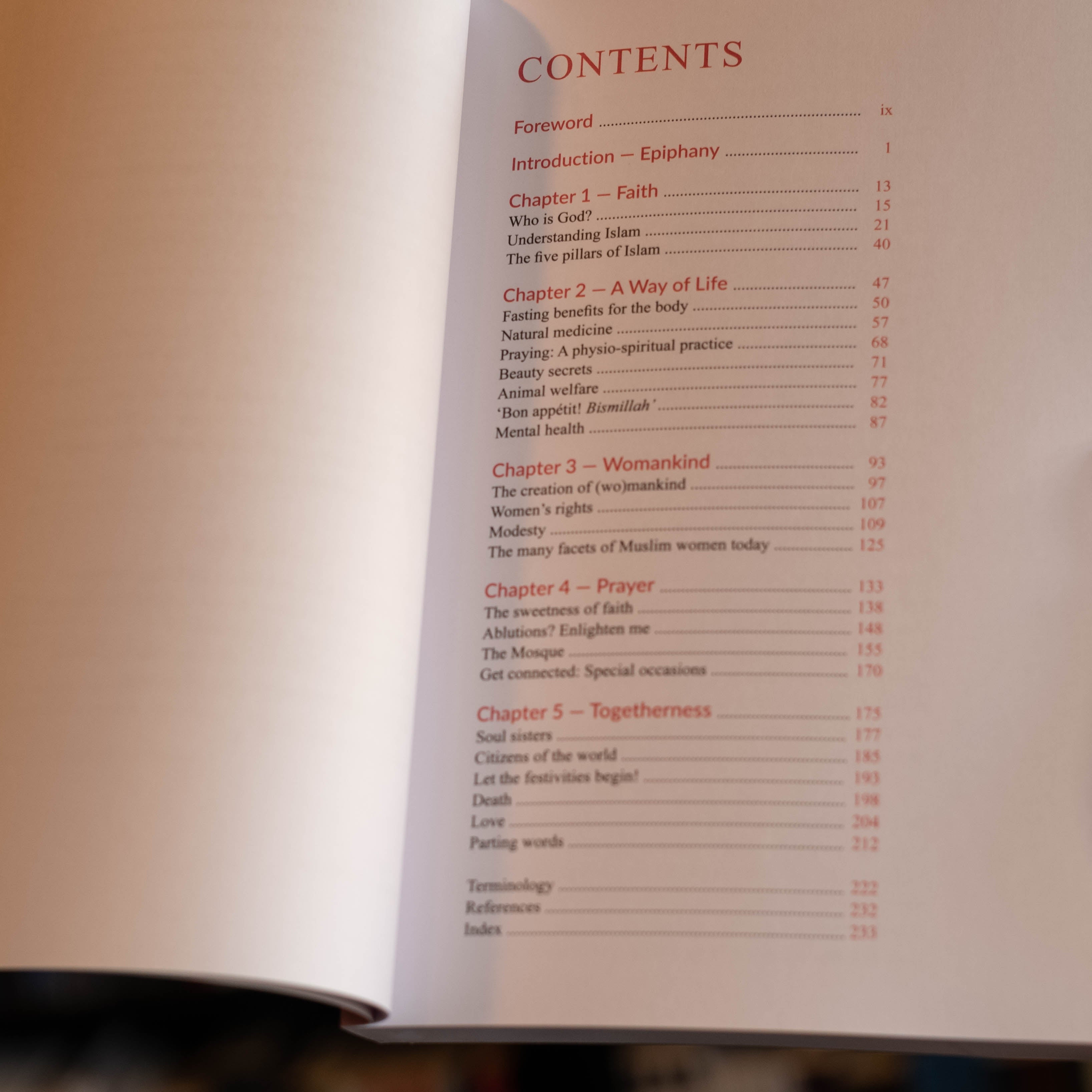 Big Little Steps、mySite、topwebapps