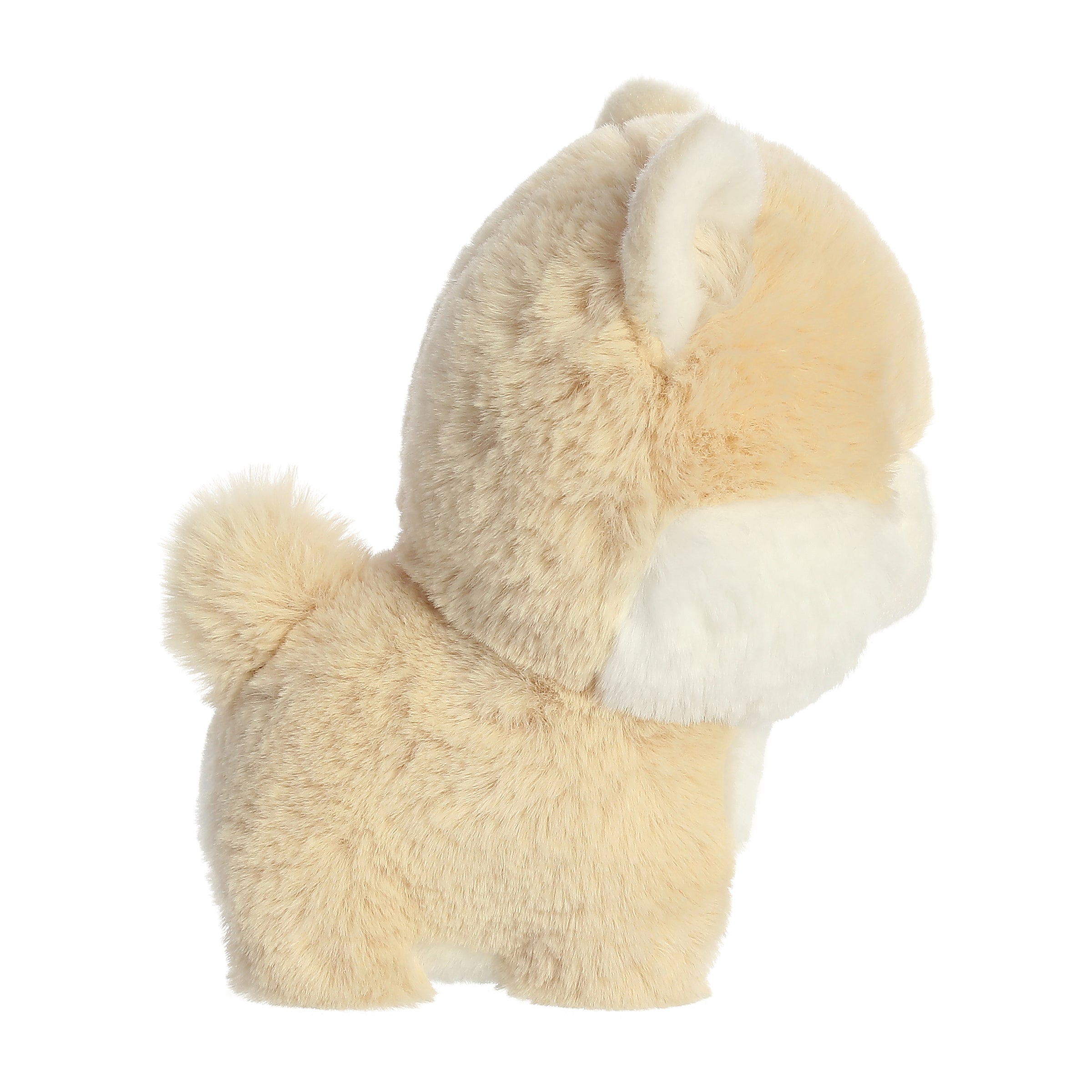 Aurora® - Teddy Pets™ - 7 Pomeranian、mySite、g9winljtr