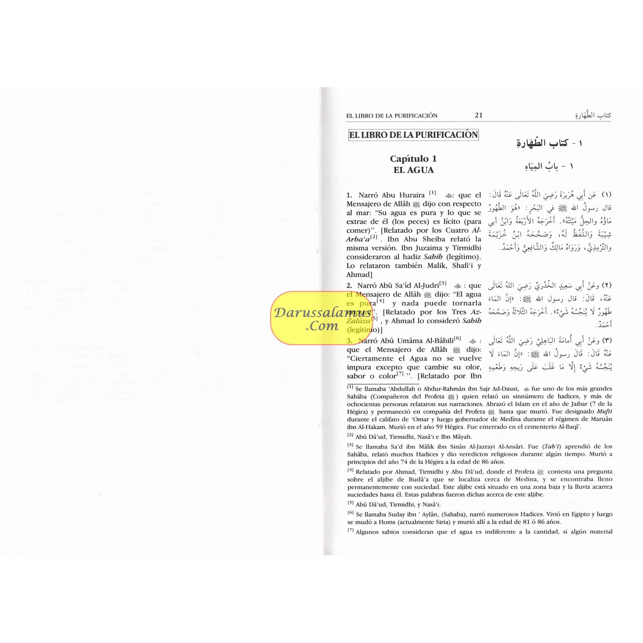 Spanish: Bulug Al-Maram (Spanish) By Hafiz Ibn Hajar Al-Askalani、mySite、topwebapps