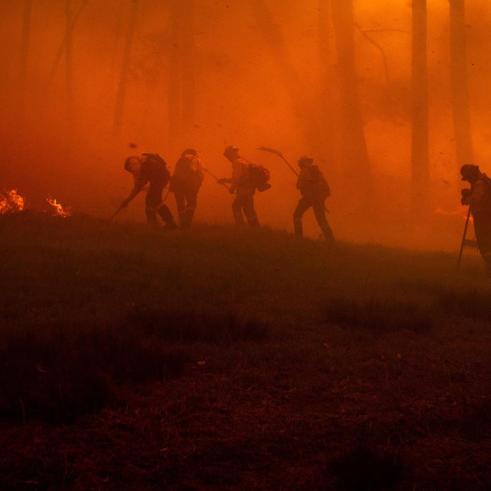 Help People and Pet Victims of Wildfires、mySite、camillekostekn