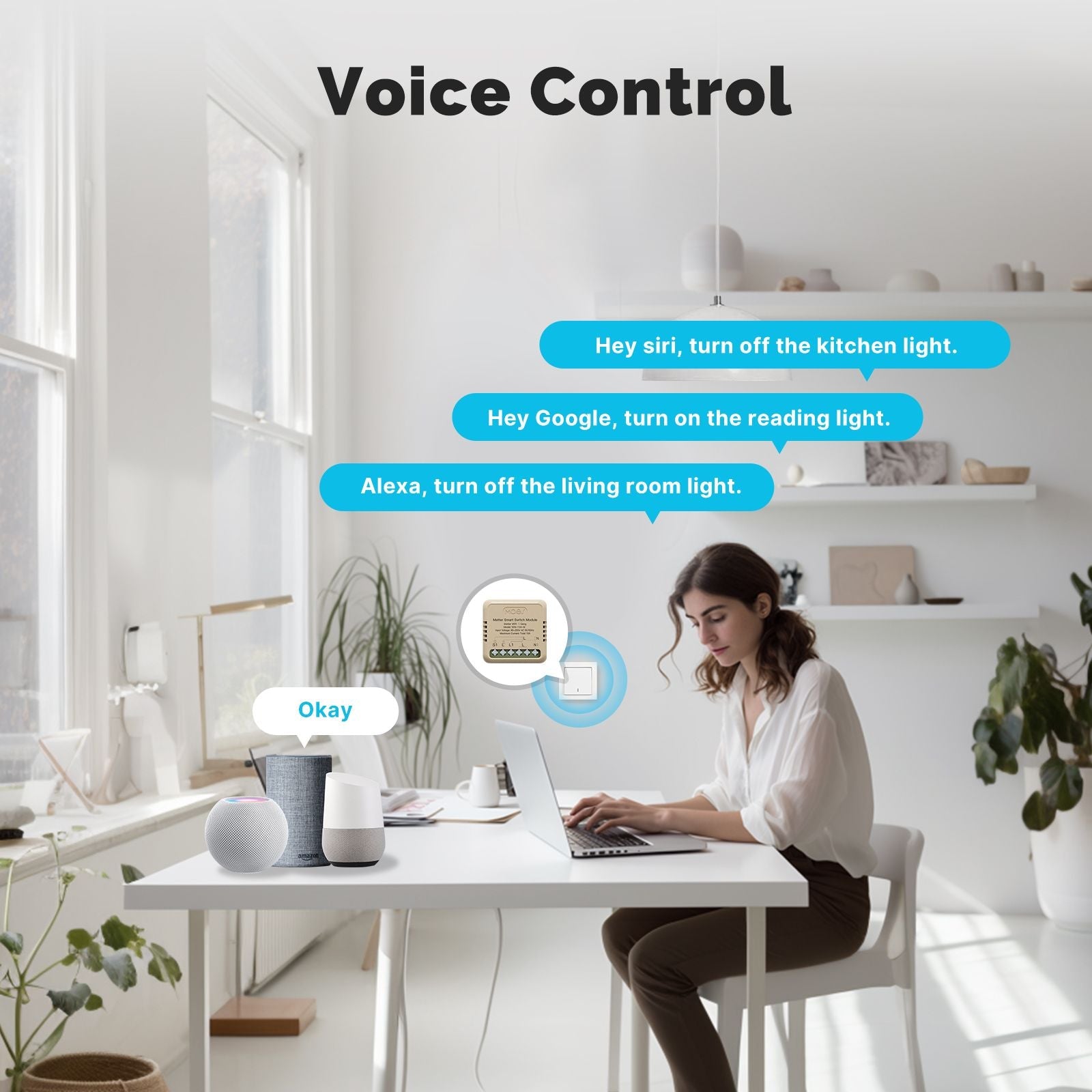 WiFi Matter Mini Smart Switch Module Relay Timer DIY Home Automation、mySite、fannypackpong