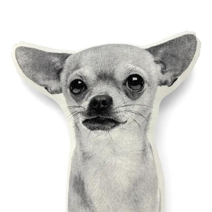 Chihuahua Pillow、mySite、g9winljtr