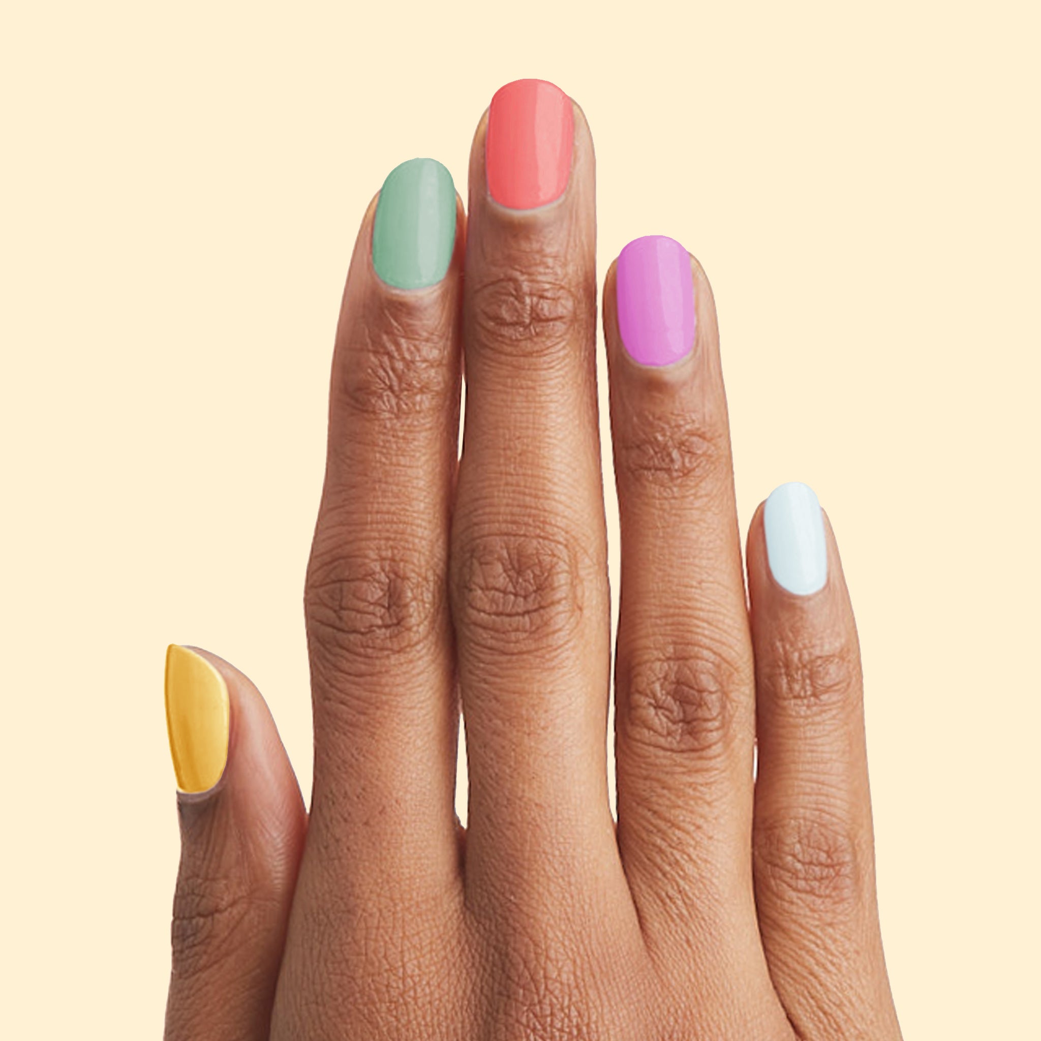 Flower Power、mySite、solidvoid